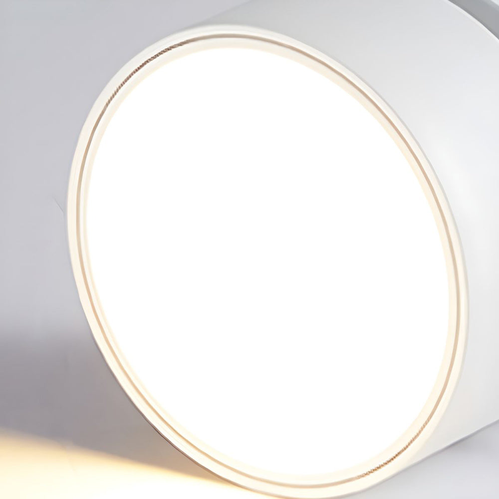 Compact Verstelbare Plafondspot Gebalanceerde Verlichting