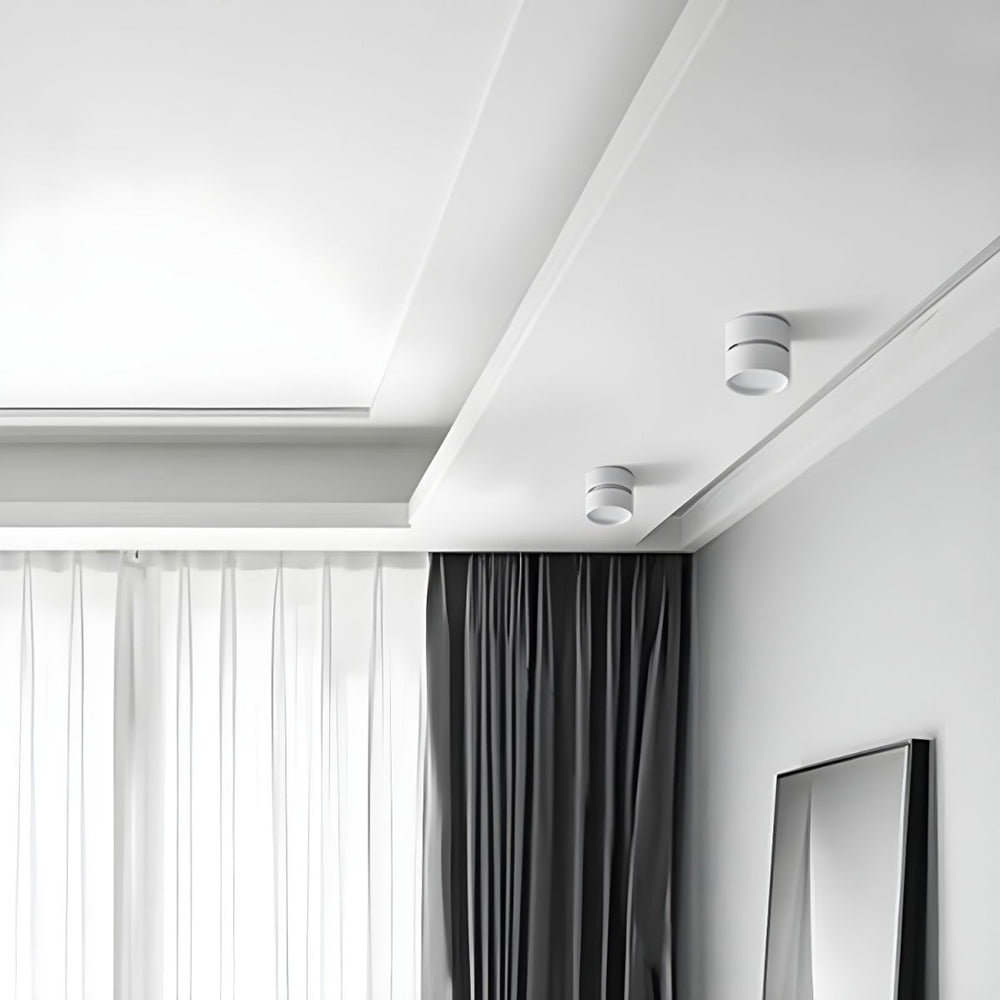 Compact Verstelbare Plafondspot Gebalanceerde Verlichting