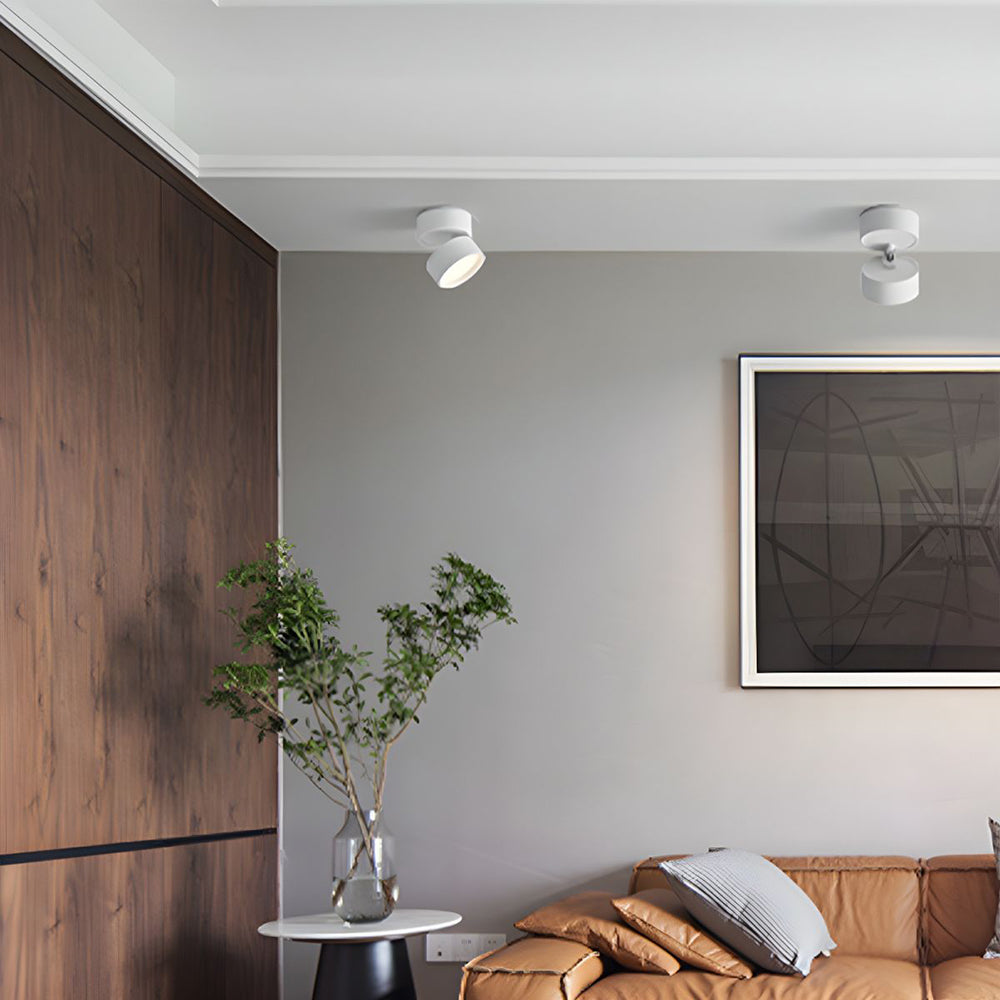 Compact Verstelbare Plafondspot Gebalanceerde Verlichting