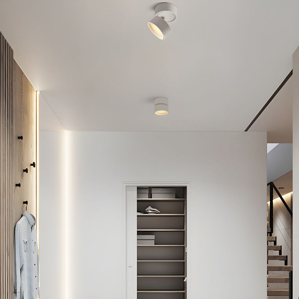 Compact Verstelbare Plafondspot Gebalanceerde Verlichting