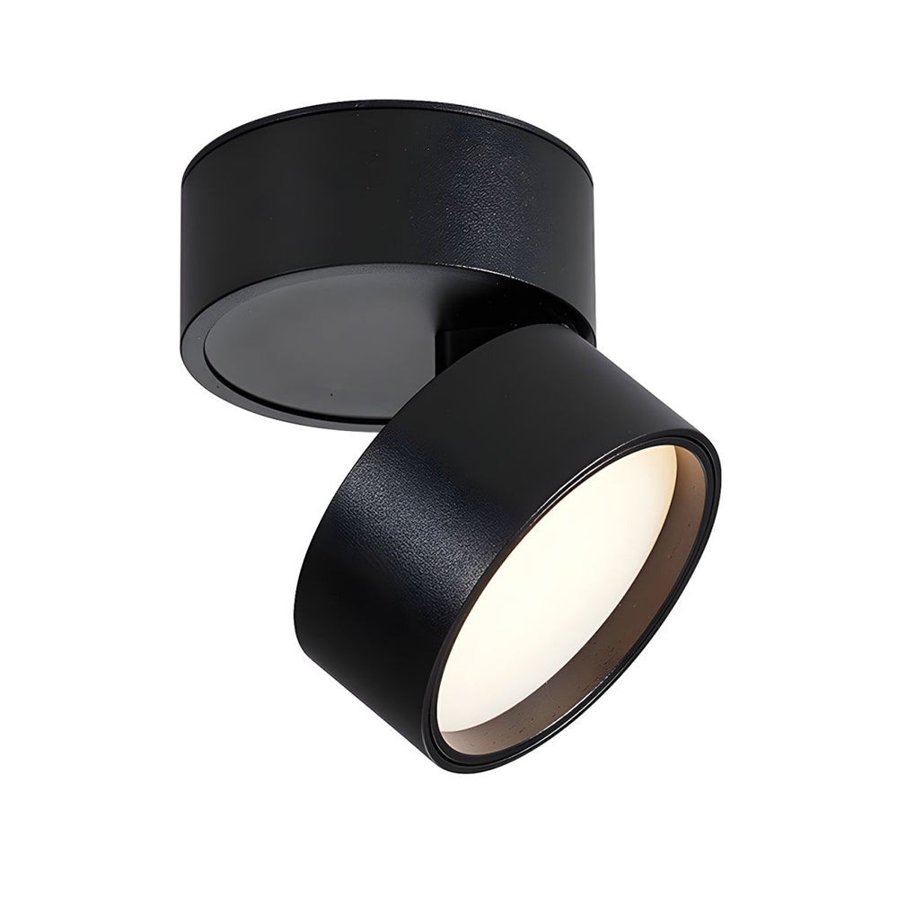 Compact Verstelbare Plafondspot Gebalanceerde Verlichting Zwart