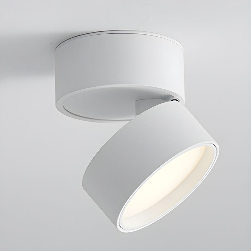Compact Verstelbare Plafondspot Gebalanceerde Verlichting