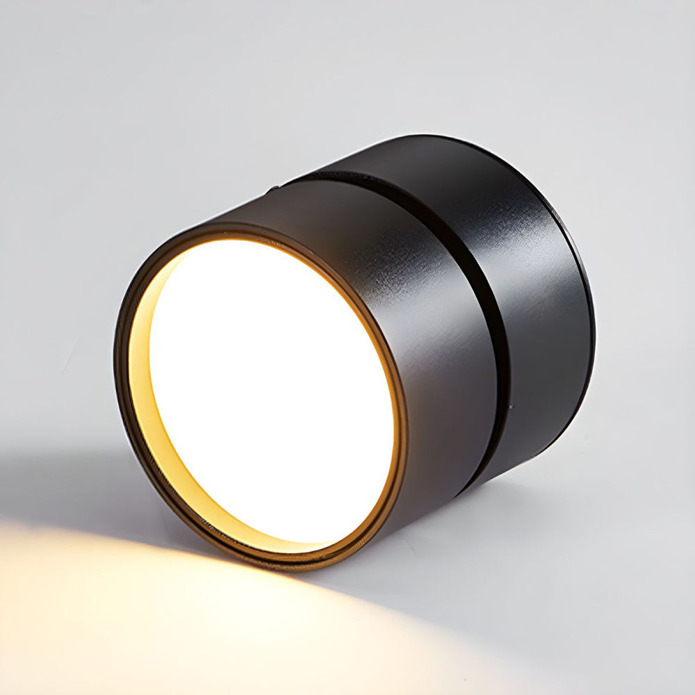 Compact Verstelbare Plafondspot Gebalanceerde Verlichting