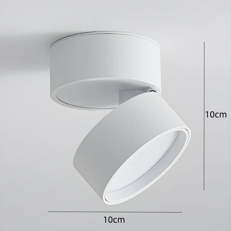 Compact Verstelbare Plafondspot Gebalanceerde Verlichting