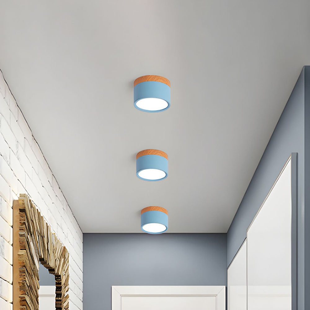Cilindervormige Kleine Plafondlampen Modern Minimalistisch