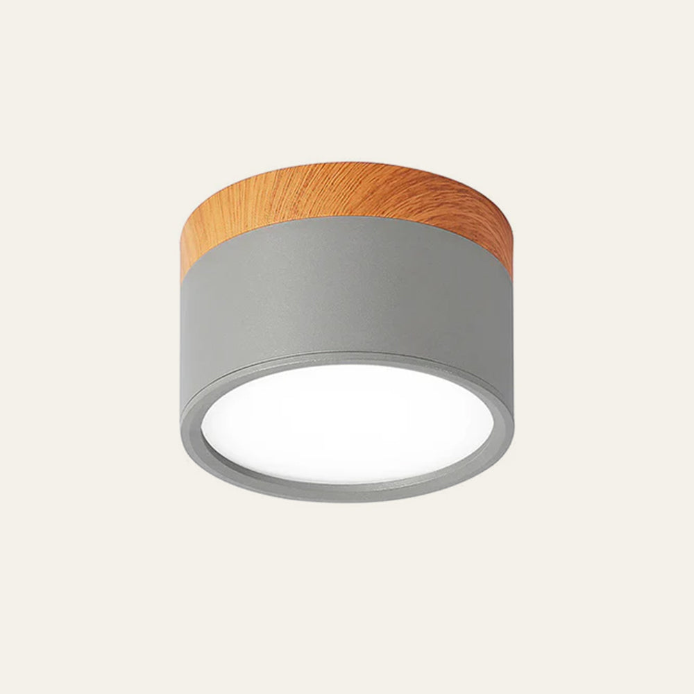 Cilindervormige Kleine Plafondlampen Modern Minimalistisch Grijs