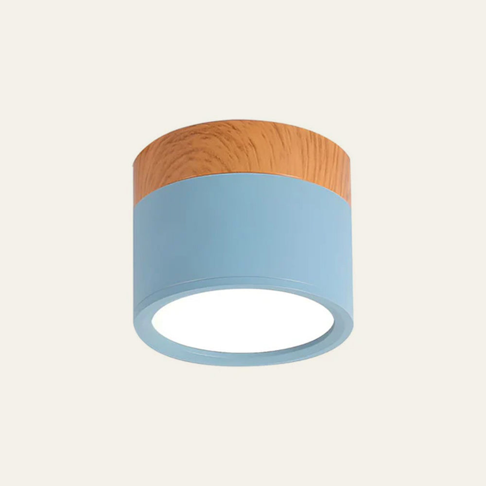 Cilindervormige Kleine Plafondlampen Modern Minimalistisch Blauw