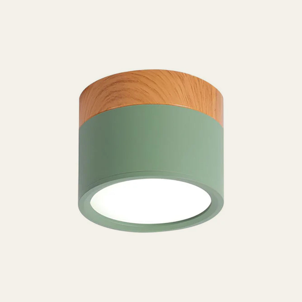 Cilindervormige Kleine Plafondlampen Modern Minimalistisch Groen