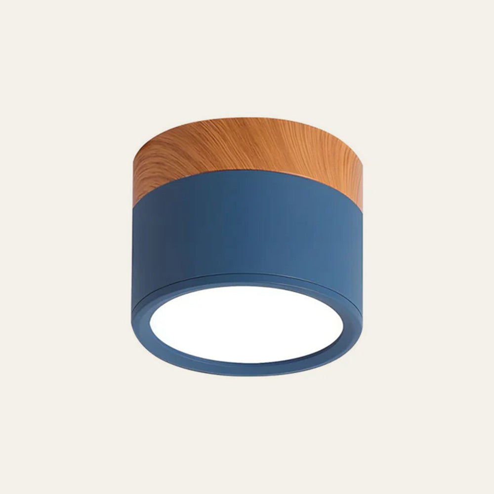 Cilindervormige Kleine Plafondlampen Modern Minimalistisch Donkerblauw