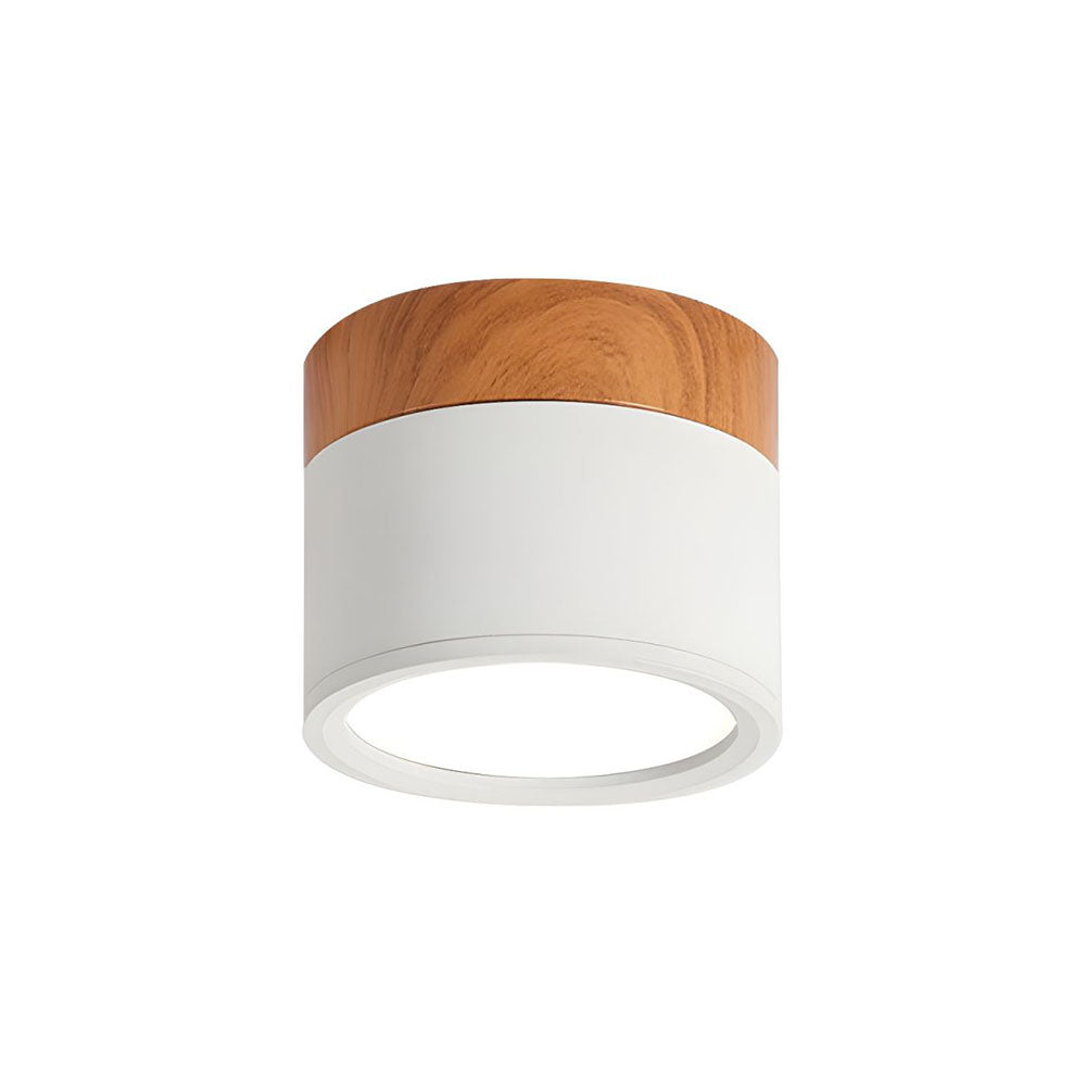 Cilindervormige Kleine Plafondlampen Modern Minimalistisch
