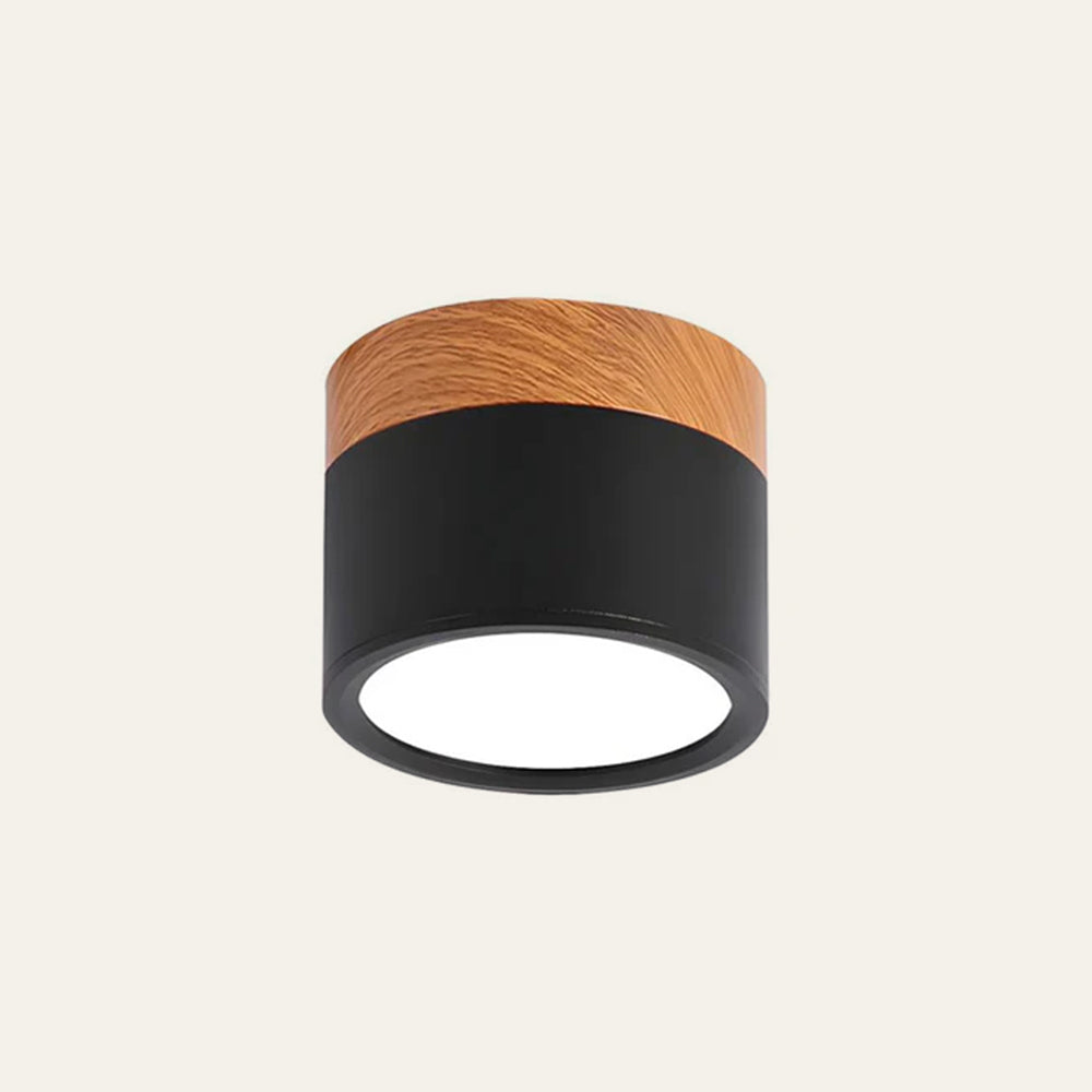 Cilindervormige Kleine Plafondlampen Modern Minimalistisch Zwart