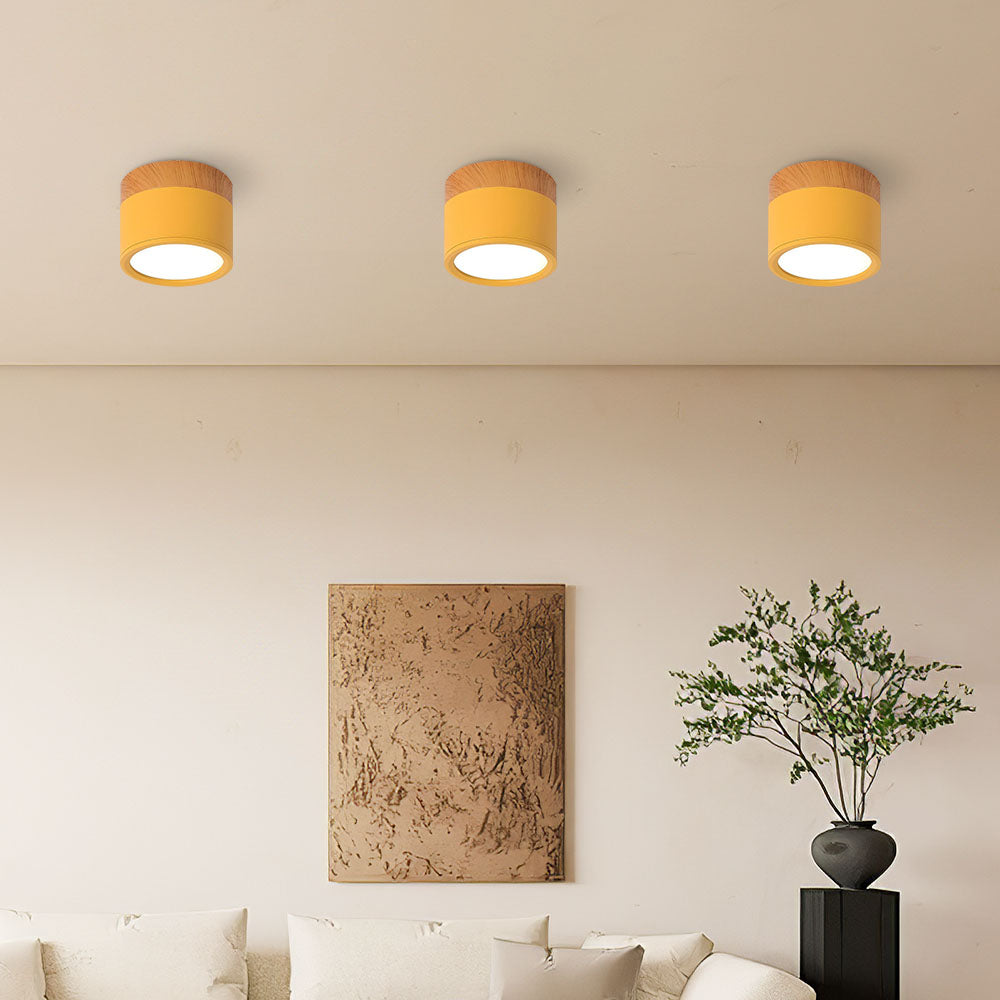 Cilindervormige Kleine Plafondlampen Modern Minimalistisch Geel