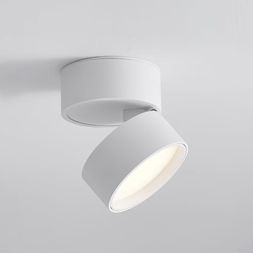 Plafondlamp Verstelbaar – Stijl en Precisie