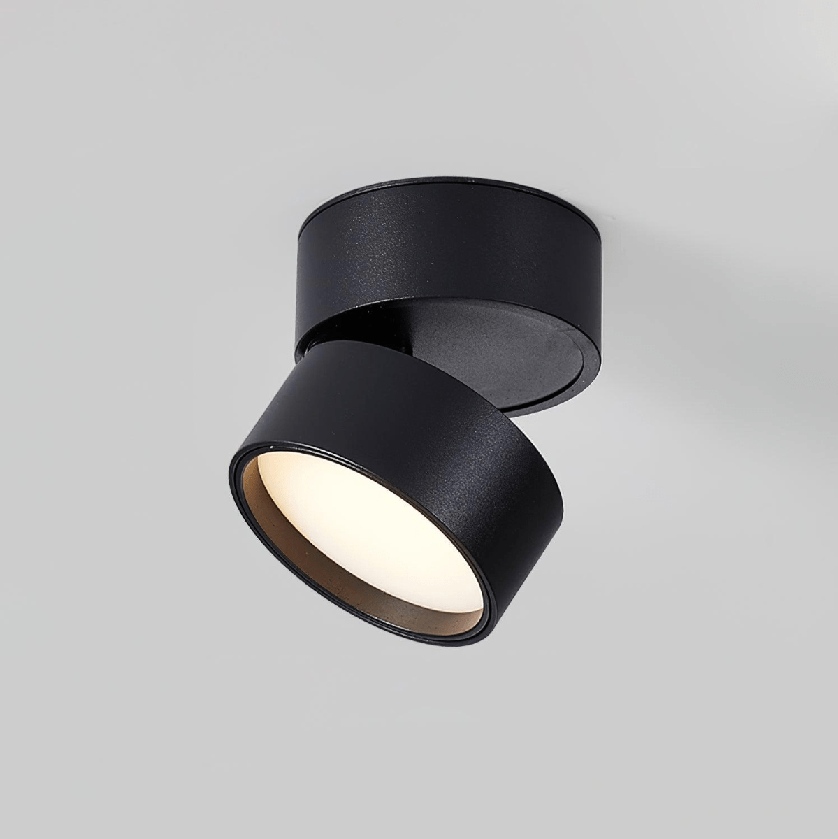 Plafondlamp Verstelbaar – Stijl en Precisie Zwart