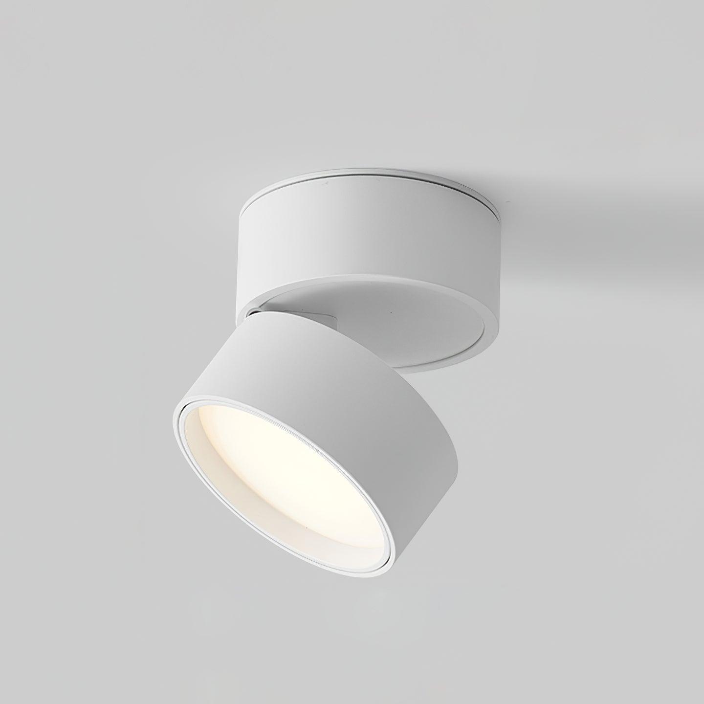 Plafondlamp Verstelbaar – Stijl en Precisie Wit