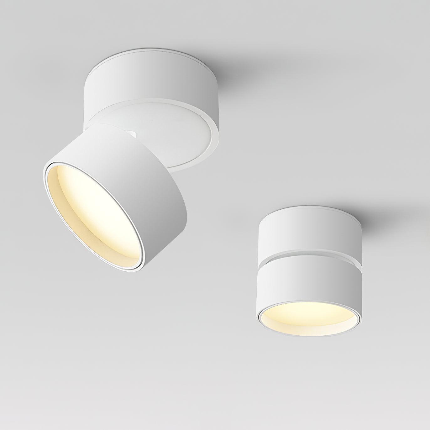 Plafondlamp Verstelbaar – Stijl en Precisie
