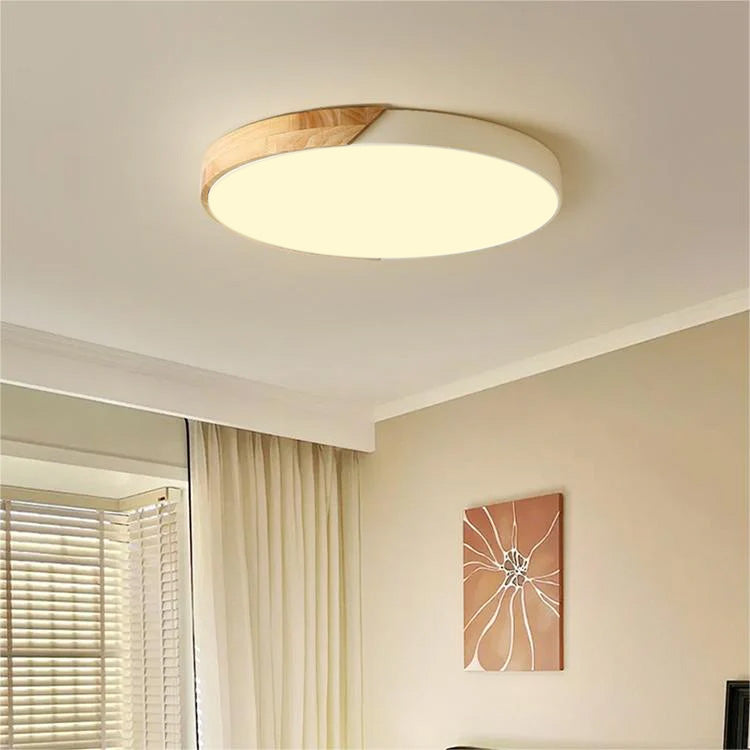 Kleurrijke Eenvoudige Ronde LED Plafondlampen Voor Huis Wit Warm licht