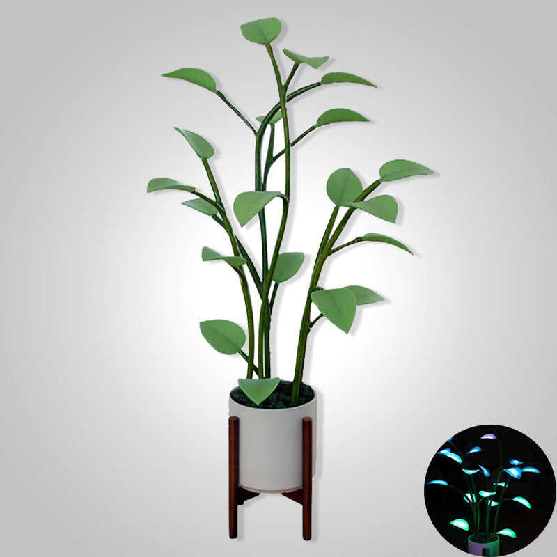 Magische LED Plant Creëert Sfeer In Jouw Kamer Vandaag Default