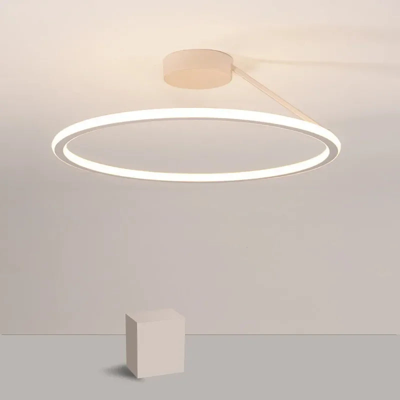 Led Plafondlamp Voor Elke Kamer Met Verlichting En Sfeer
