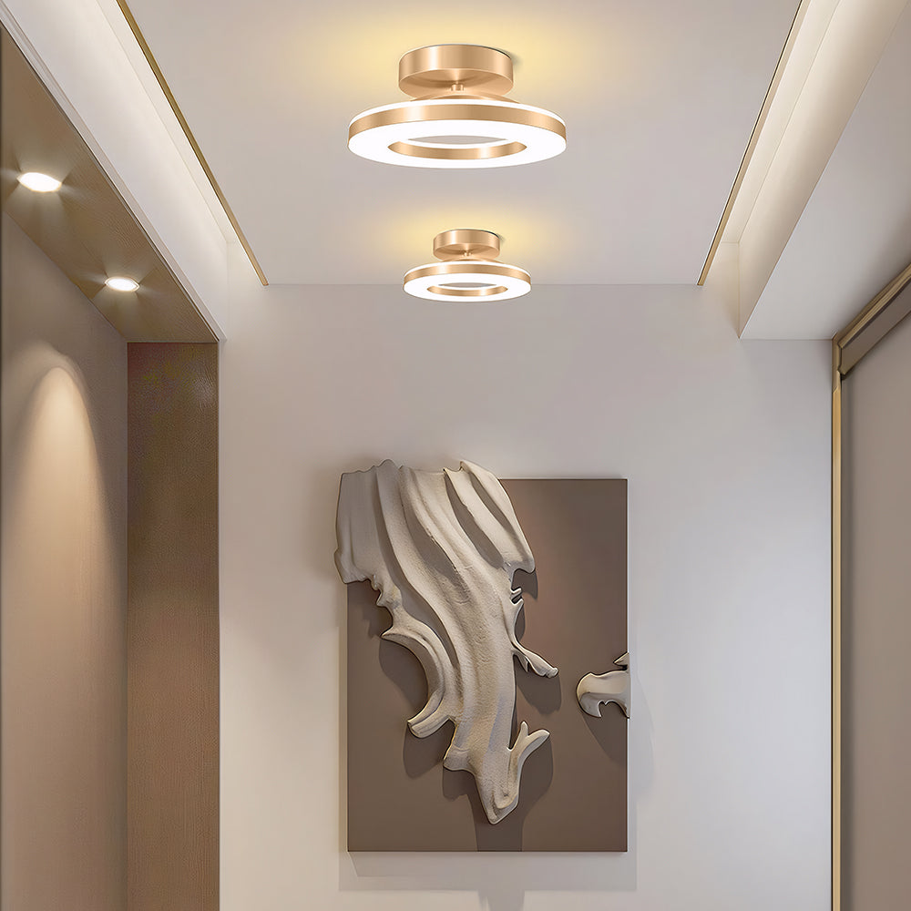 Moderne Gouden IJzeren Hal LED Plafondlamp Warm Licht