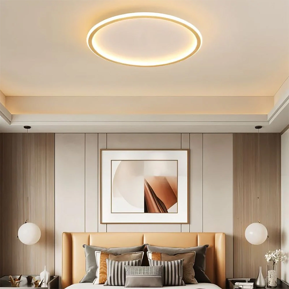 Moderne Ultradunne Ronde Lage Plafondlamp Voor Interieur Goud Warm licht