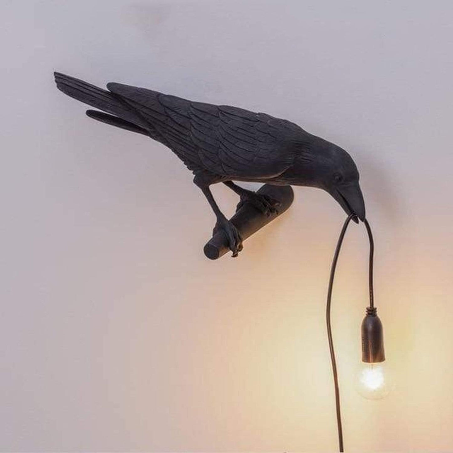 Raven Hanglamp met Elegant Silhouet en Warm Licht 30 cm Zwart Muur rechts EU