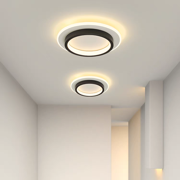 Ronde Metalen Acryl LED Plafondlamp Voor Hal En Gang