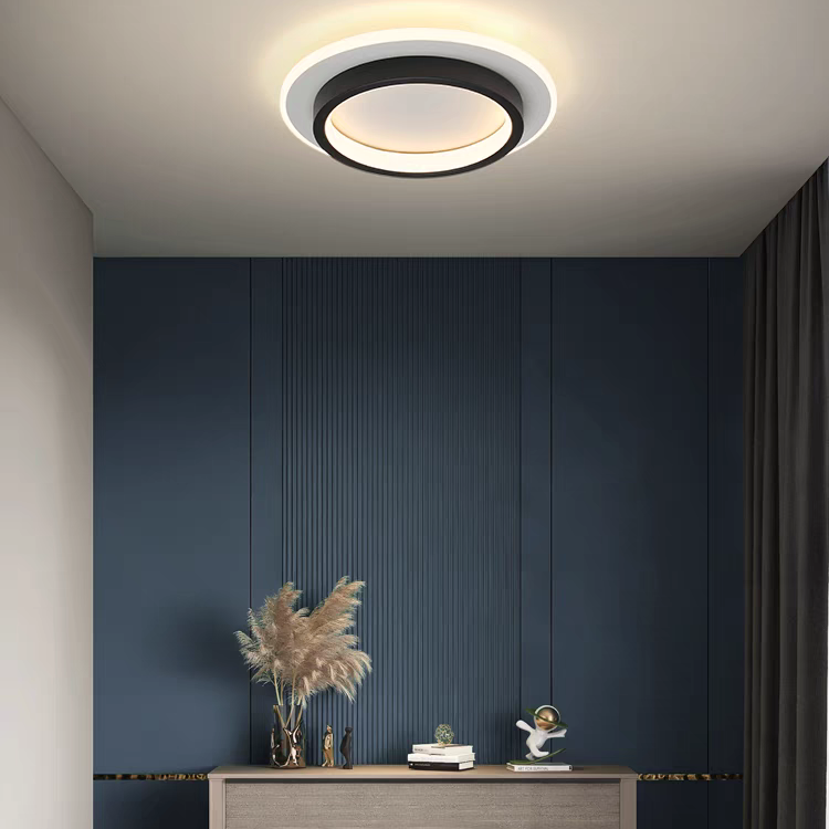 Ronde Metalen Acryl LED Plafondlamp Voor Hal En Gang