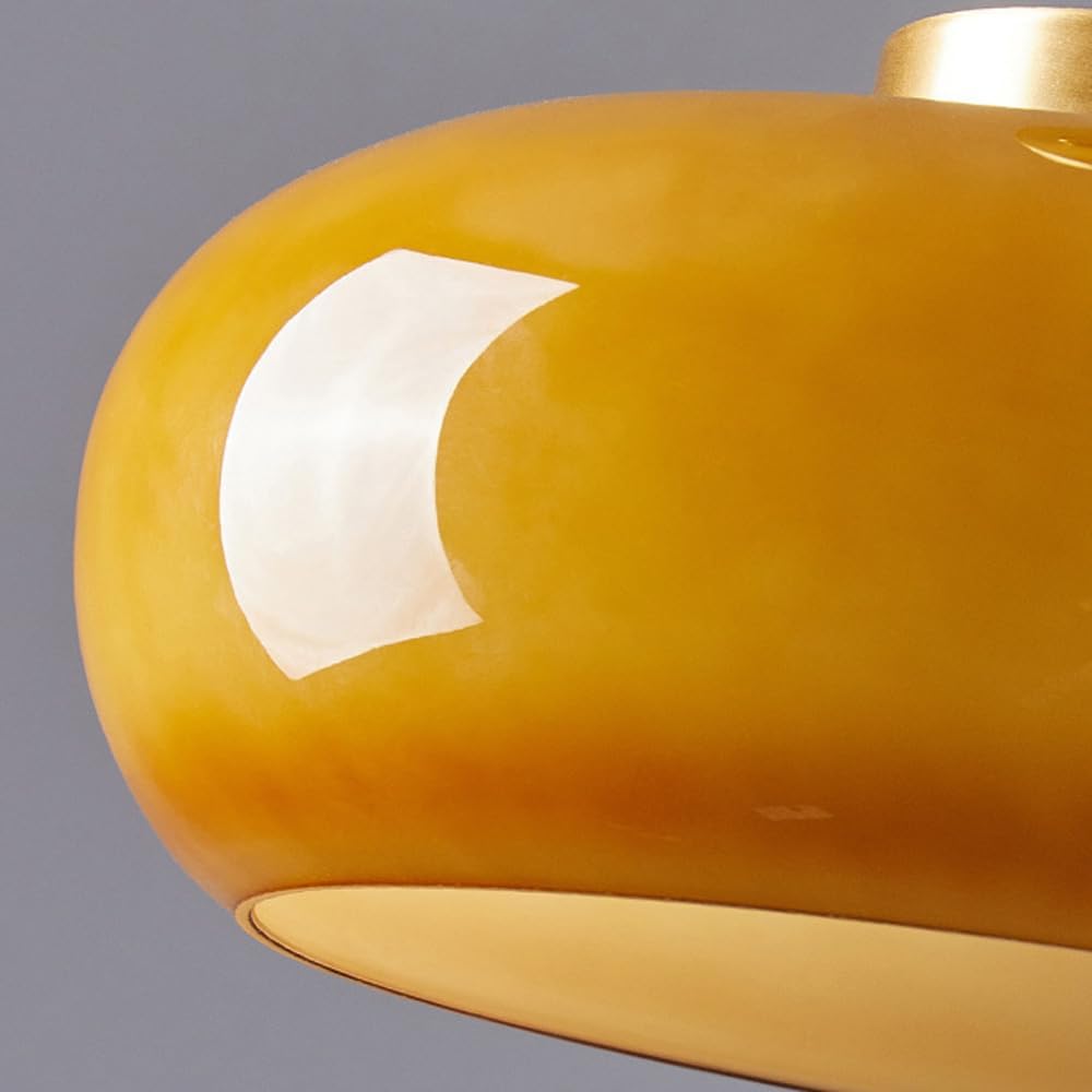 Led Flush Mount Ceiling Light Met Glas Metaal Ontwerp