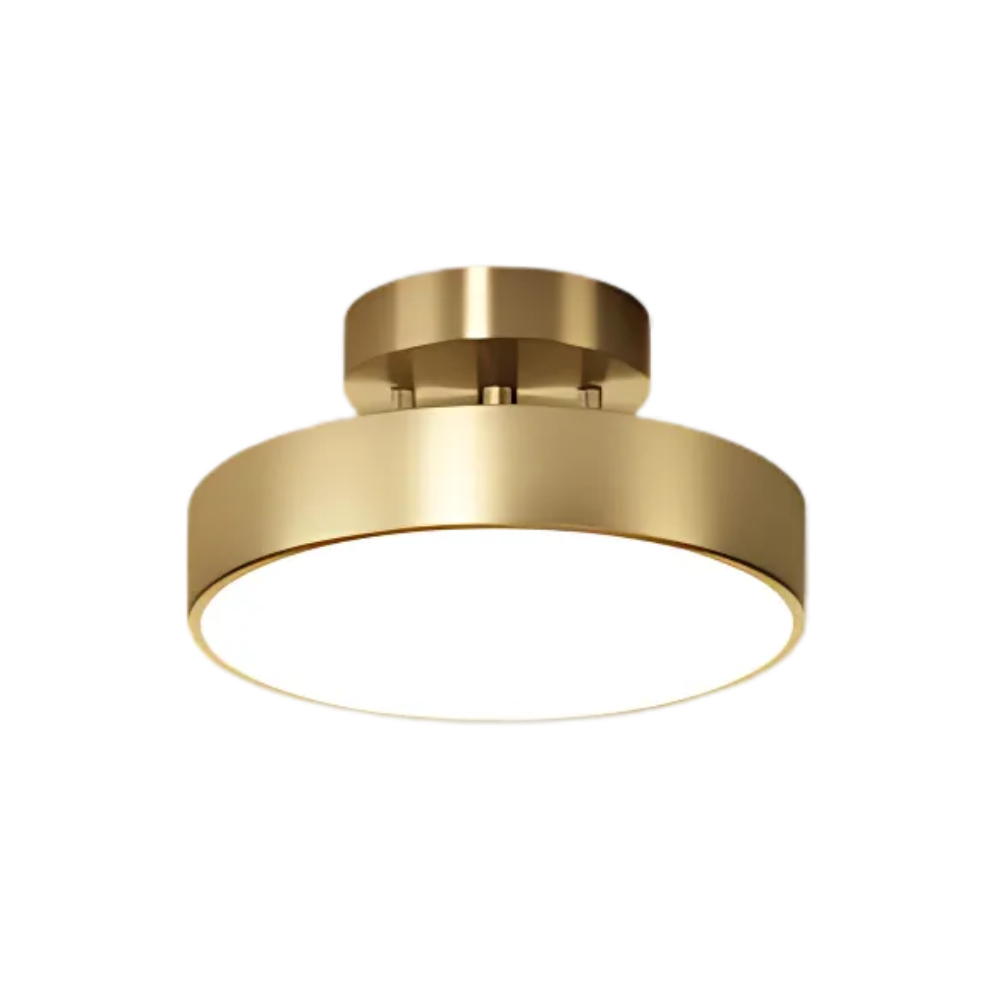 Moderne Plafondlamp Met Tijdloze Elegantie Voor Elke Kamer ⌀30cm