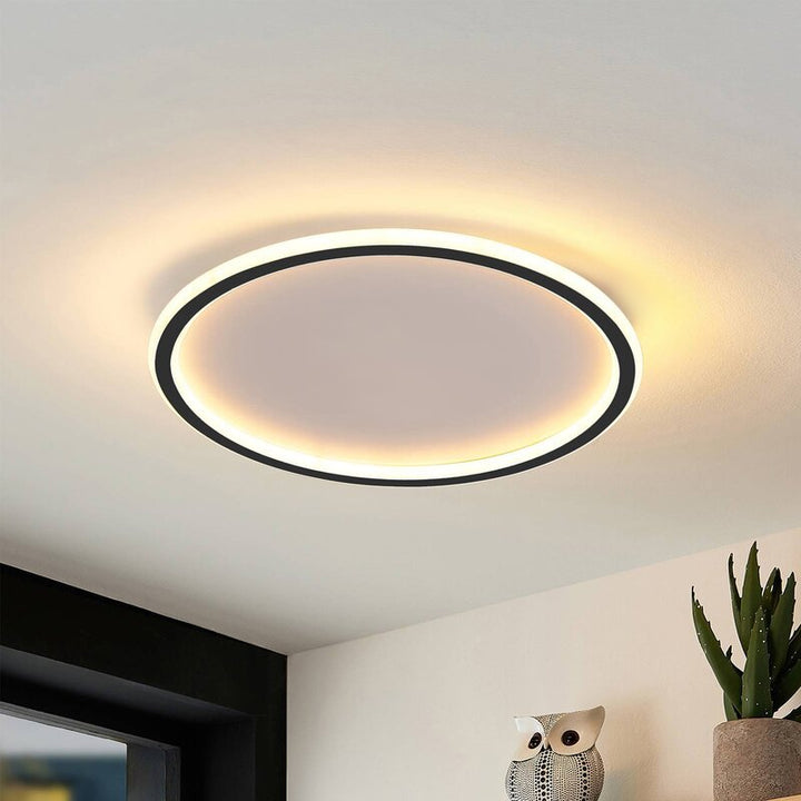 Plafondlamp Met LED Modern Rond Design Scandinavisch Zwart