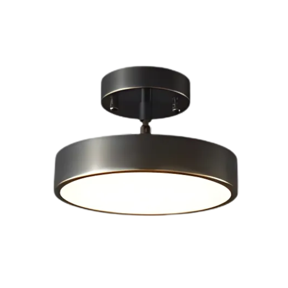 Zwarte Plafondlamp met Modern Design en Tijdloze Eleganties ⌀30cm