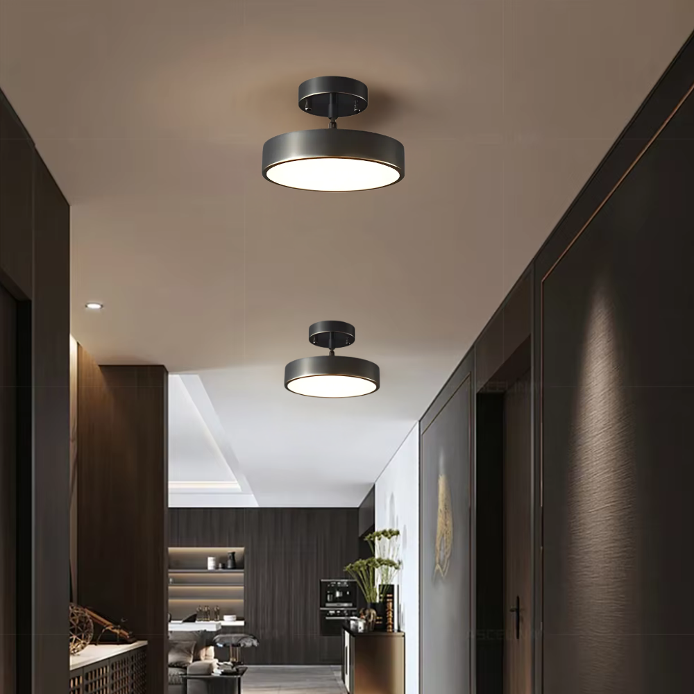 Zwarte Plafondlamp met Modern Design en Tijdloze Eleganties