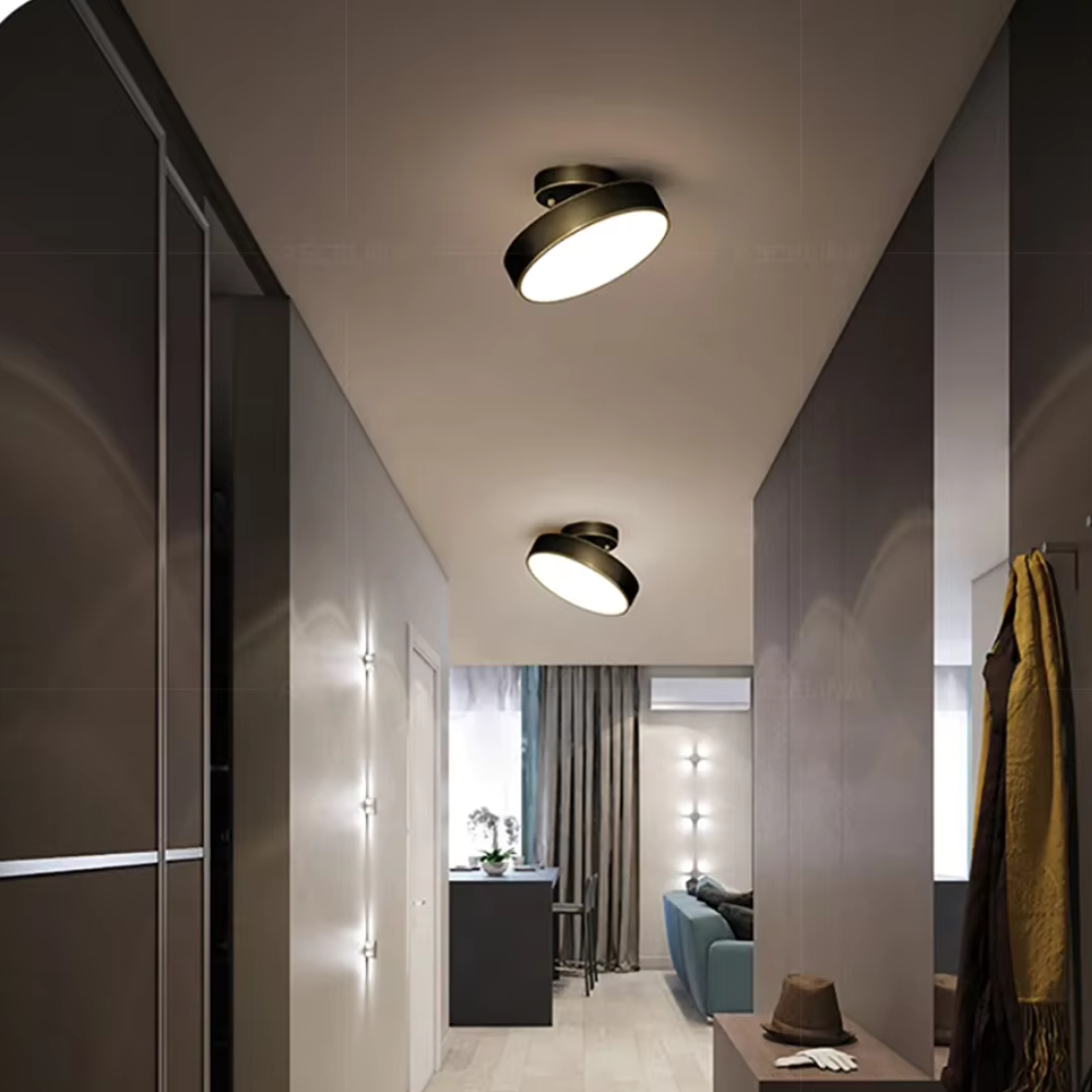 Zwarte Plafondlamp met Modern Design en Tijdloze Eleganties