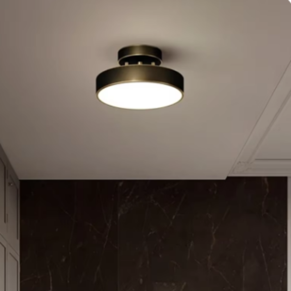 Zwarte Plafondlamp met Modern Design en Tijdloze Eleganties