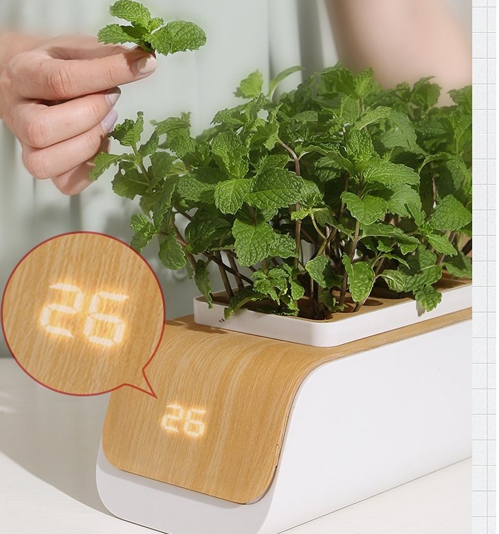 Hydrocultuur Bloempot - LED Planten Groeien voor Thuis