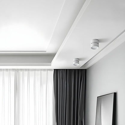 Compact Verstelbare Plafondspot Gebalanceerde Verlichting