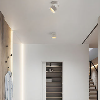 Compact Verstelbare Plafondspot Gebalanceerde Verlichting