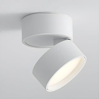 Compact Verstelbare Plafondspot Gebalanceerde Verlichting