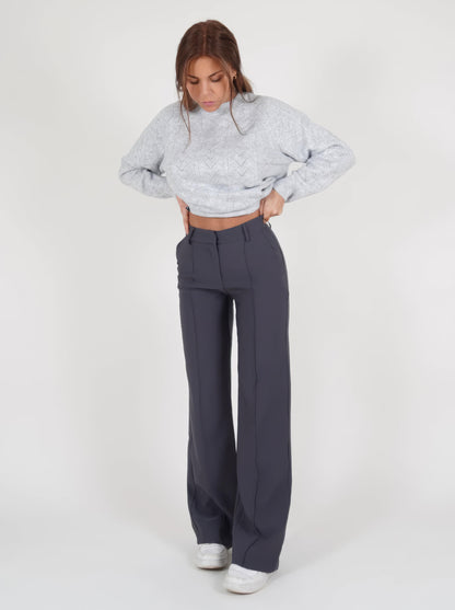 Broek Hoge Taille Dames Wijde Pijp Getailleerd Lang Grijs
