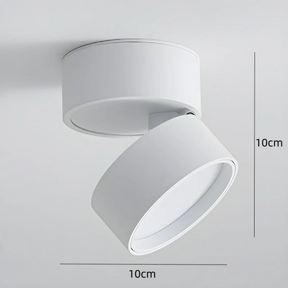 Compact Verstelbare Plafondspot Gebalanceerde Verlichting