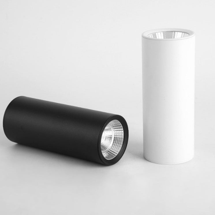Dimbare Opbouwspot Zwart Moderne Plafondverlichting Efficiënt