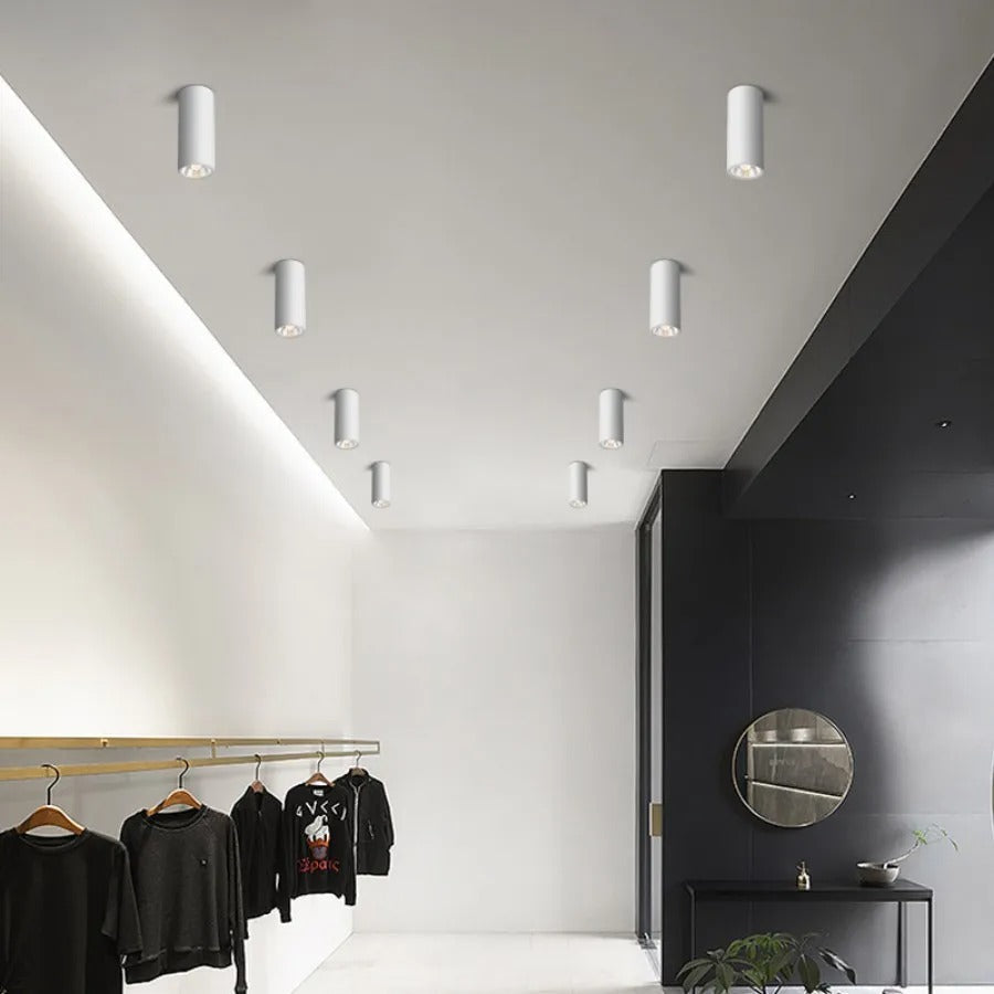 Dimbare Opbouwspot Zwart Moderne Plafondverlichting Efficiënt