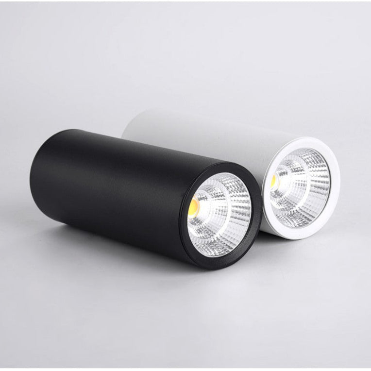 Dimbare Opbouwspot Zwart Moderne Plafondverlichting Efficiënt