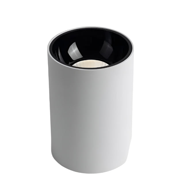 Dimbare Opbouw Downlight Met Instelbare Wattage Van 7W Tot 18W Wit en Zwart