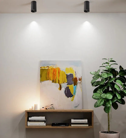 Dimbare Opbouw Downlight Met Instelbare Wattage Van 7W Tot 18W