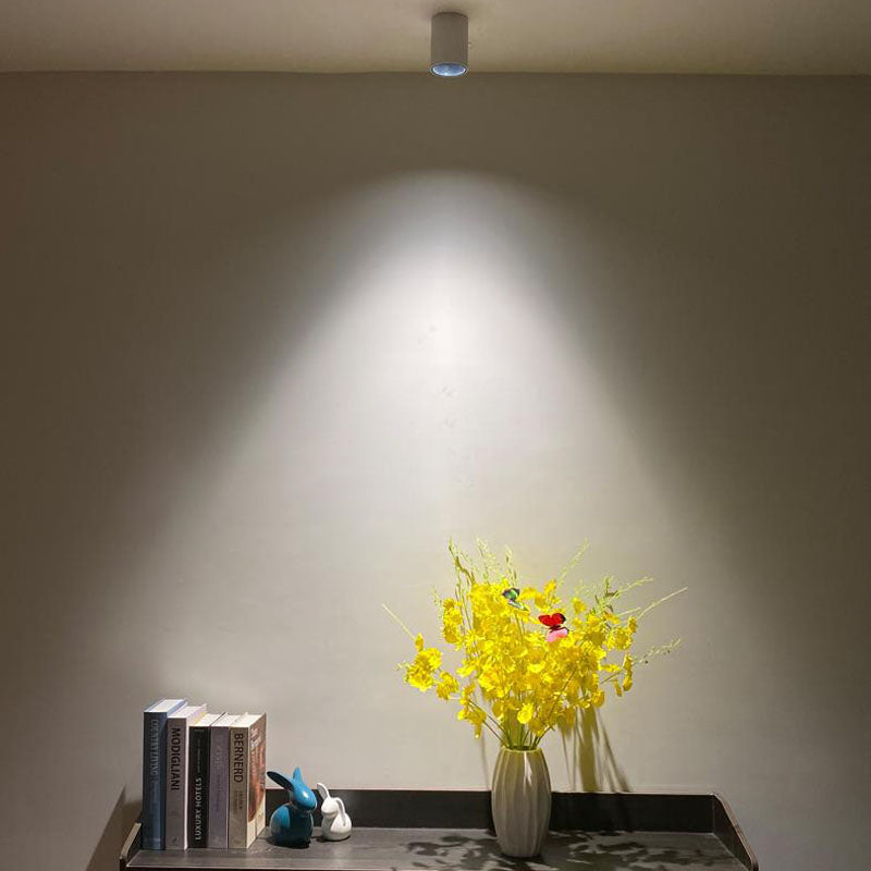 Dimbare LED Downlight Aluminium 7W 9W 12W 15W Voor Binnenverlichting