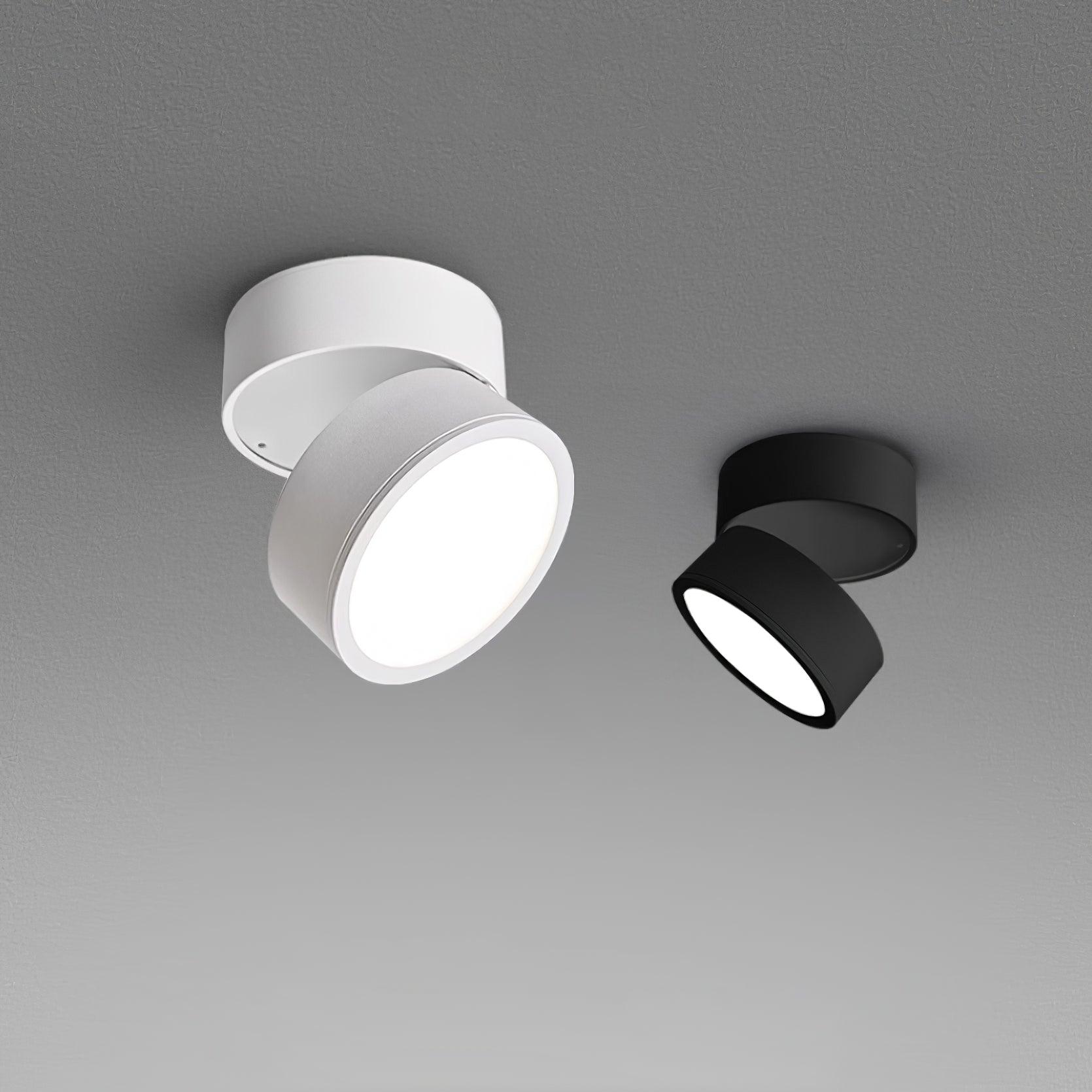 Plafondlamp Verstelbaar – Stijl en Precisie
