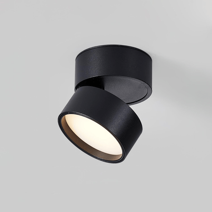 Plafondlamp Verstelbaar – Stijl en Precisie Zwart