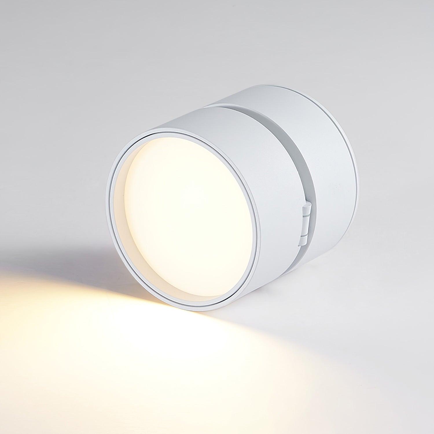 Plafondlamp Verstelbaar – Stijl en Precisie